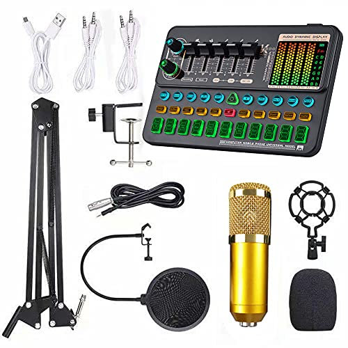 Microphone with Foldable Metal Stand, Braced Arms, Dual Suspension Springs, 360 Degree Flexible, Shock-Proof Mount, Port for Broadcasting, Stages, TV Stations