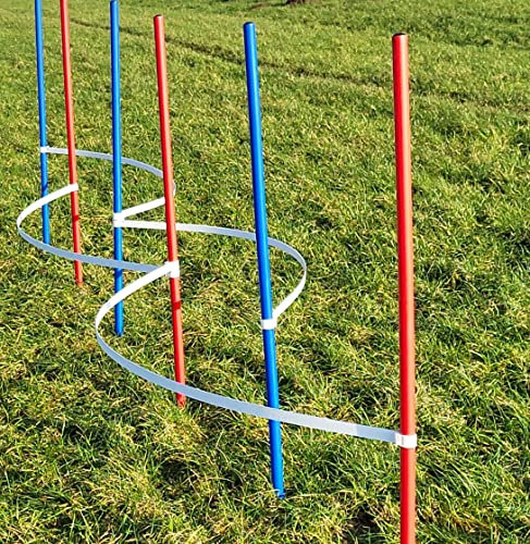 Wuzzmann Agility - Slalom - AUSBILDUNGSSET MIT 4 SLALOMBÖGEN/TRAININGSBÖGEN + 6 SLALOMSTANGEN ROT/BLAU