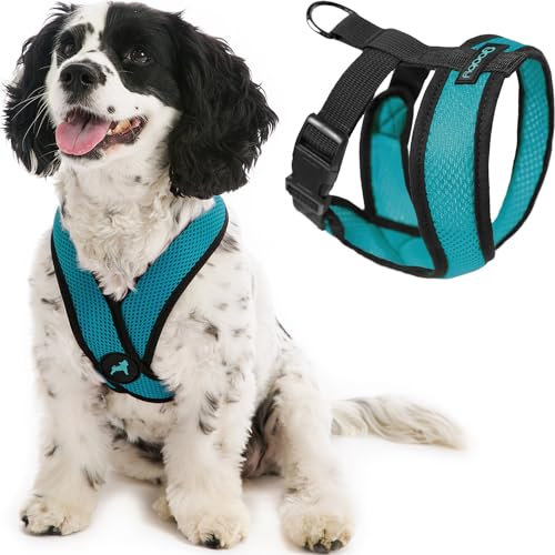 Gooby Comfort X Head in Harness,Türkis, Small, Patentierter Würgefreier X Rahmen,Unterwegs Hundegeschirr für Mittlere Hunde Kein Ziehen oder Kleine Hunde für Innen und Außen