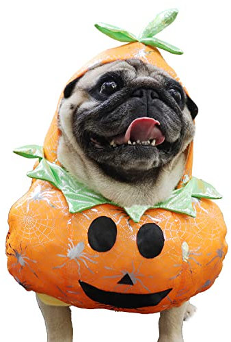 Harikaji Kürbis-Outfit für kleine Hunde, Halloween, Kürbis-Kostüm, lustiges Cosplay, Kürbis-Hut für Halloween, Weihnachten, Urlaub, Partys, Fotoshootings für Hunde (XL)