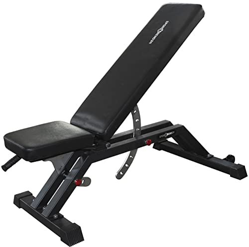 Sporttrend 24® Verstellbare Profi Hantelbank bis 300KG | Klappbare Hantelbank, Schrägbank, verstellbare Rückenlehne und Sitz