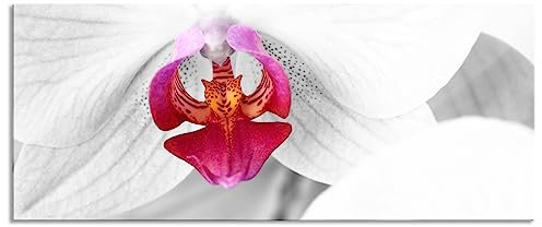 Pixxprint Glasbild Panorama, Wandbild aus Echtglas, anmutige Orchideen Blüte, 120x50 cm, inkl. Aufhängung und Abstandshalter