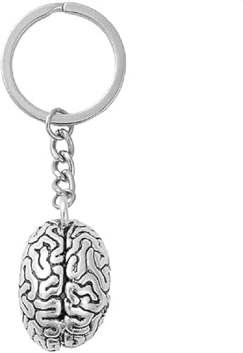 Cldaisy Silberner anatomischer Gehirn-Schlüsselanhänger, Gehirnorgan-Anhänger, 3D-Neurologe für Schlüsselhalter für Ärzte, Damen, Herren, Damenmode, Auto-Schlüsselanhänger