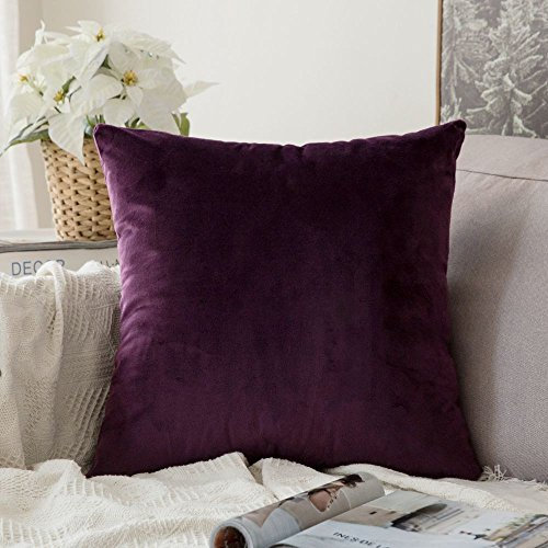MIULEE Samt Kissenbezug Kissenhülle Dekorative Sofakissen Dekokissen Groß Deko Couchkissen Zierkissen Bezug Zierkissen Versteckter Reißverschluss für Sofa Schlafzimmer 1 Stück 60x60 cm Aubergine Lila