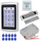 HFeng Kit Completo Sistema Controllo Accessi per Porta 125KHz RFID Lettore Tastiera Custodia Metallo + 180KG /350lbs Serratura Magnetica Elettrica Elettromagnetico + 10 pz Telecomandi Keychains