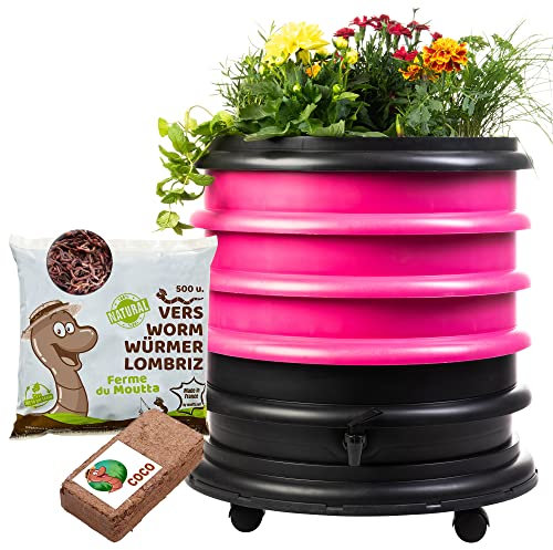 WormBox | Wormery Worm Farm composter 3 Fuchsia Trays + Planter + 250gr of Compost Worms / 500 ctn + 1 Coco + 1 Coco | 48 liters | Organic Waste Compost, make your Worm Castings