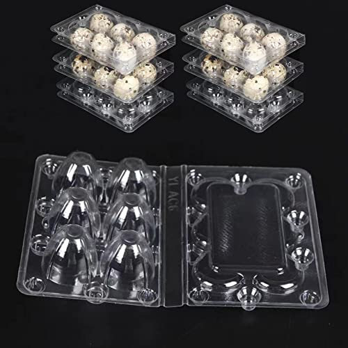 50 Stück Wachteleierschachteln, 6 Gitter Wachtelei-Schachteln, Eierschachteln Wachteln Kunststoff Wachtelei-Kartons Transparente Quail Egg Kartons Eierschachtel für Wachteleier