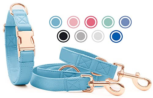 Weich Leder Hundehalsband und Leine (2m) Set - 3-Fach Verstellbar Hundeleine mit Halsband, Stilvollen Rose Gold Metall Schnalle & Nylon Hund Leinen für Welpen Kleine Mittlere Große Hunde HellBlau,M