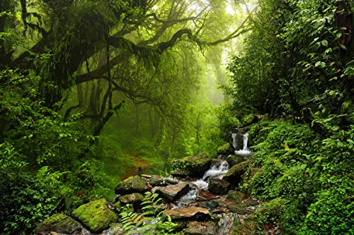 WALD Fototapete VLIES-700x300 cm (1047A)-Natur Landschaft See Bäume Wasserfall Dschungel Wandtapete-Inkl. Kleister-Vliestapete Bild Dekoration Wand-Dekor Moderne Motiv-Tapete Panorama Poster XXL