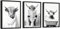 97 Decor Kuh Bilder Wanddekoration – 30,5 x 40,6 cm Hochlandkuh Badezimmer-Dekor, lustiger Hochlandkuh Wandkunstdruck, schwarz-weiße Kuh in Badewanne, Poster, lustiges Tier-Kunstwerk für Schlafzimmer