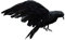 YdseozOA Halloween Schwarze realistische Krähe für draußen, Haus, Garten, Dekoration, Party-Requisiten (Flügel 28 cm)