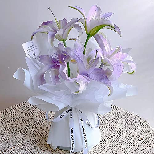 3 Stück lilien zwiebeln winterhart mehrjährig - Seltene Pflanzen serie - balkonpflanzen ausgefallene geschenke winterharte stauden nachhaltige geschenke blumendeko winterlinge zwiebeln