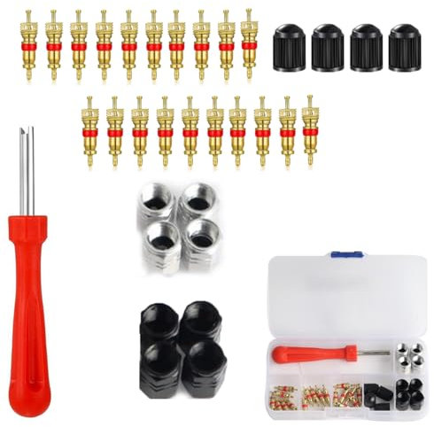 BRITECO Tyre Valve Repair Kit with Valve Core Remover Tool, Complete Tire Maintenance Set for Cars, Trucks & Motorcycles - Includes Single-Head Valve Core Remover, Valve Core Remover Driver