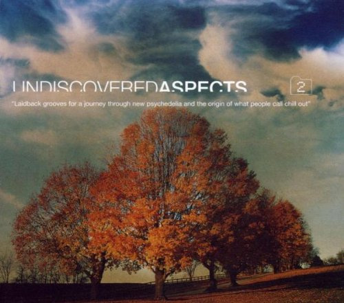 Undiscovered Aspects 2