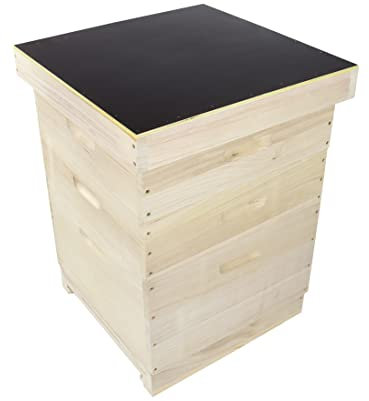 Dadant US Beute 12er aus Massivholz für Imker Bienen, inkl. Rähmchen (30x)
