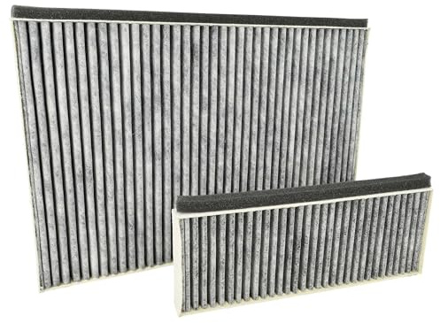 vhbw 2x Filter kompatibel mit Siemens LC98KLP60/02 | LC98KLP60/01, LC98KLV60 Dunstabzugshauben - 2x Aktivkohlefilter Grau Weiß