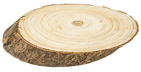 Lot de 4 grandes tranches de bois naturel 22 x 12 cm tronc d'arbre rondelles de bois brut avec écorce et surface lisse comme dessous de plat, décoration et bricolage