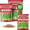 ZenGreens® - Bio Weizen Sprossen Samen in - Wähle zwischen 10g, 200g und 500g - Weizengras Samen mit Keimrate von über 96% - Getreide Saatgut - Weizensamen ideal für Microgreens - Keimsprossen Samen