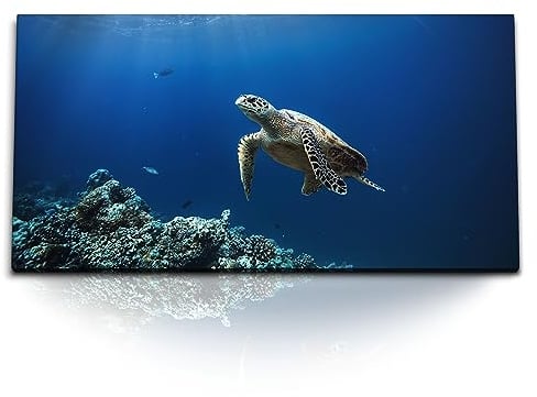 Paul Sinus Kunstdruck Bilder 120x60cm Seeschildkröte unter Wasser Blau Korallenriff Ozean