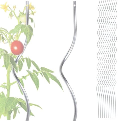 FLOORDIREKT Tomatenspiralstäbe - 180 cm Länge - 20 Stück - Tomatenstab - Spiralstab - Rankstab - Tomaten Rankhilfe - Pflanzstab aus verzinktem Stahl