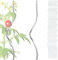 FLOORDIREKT Tomatenspiralstäbe - 180 cm Länge - 20 Stück - Tomatenstab - Spiralstab - Rankstab - Tomaten Rankhilfe - Pflanzstab aus verzinktem Stahl