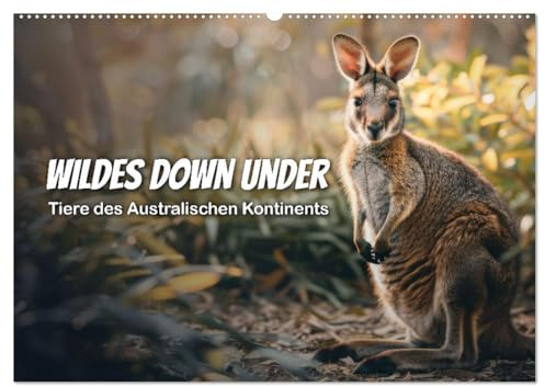 Wildes Down Under: Tiere des Australischen Kontinents (Wandkalender 2026 DIN A2 quer), CALVENDO Monatskalender: Entdecke die faszinierende Tiervielfalt Australiens (CALVENDO Tiere)