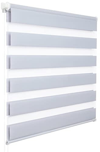 WOLTU Doppelrollo Klemmfix ohne Bohren Grau B100 x H120 cm, Duo Rollo Zebrarollo Fensterrollo Klemmrollo Seitenzugrollo Easyfix lichtdurchlässig & verdunkelnd Rollos für Fenster und Tür