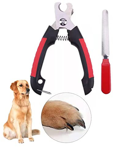 ZLXFT Coupe Griffe Chaton Coupe Griffes Chien Coupe Griffes Chat Coupe Ongle Chat Inoxydable,Coupe Griffe pour Chiot Chaton Petits Animaux
