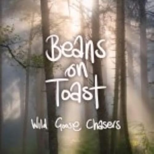 WILD GOOSE CHASERS (PICTURE DISC)
