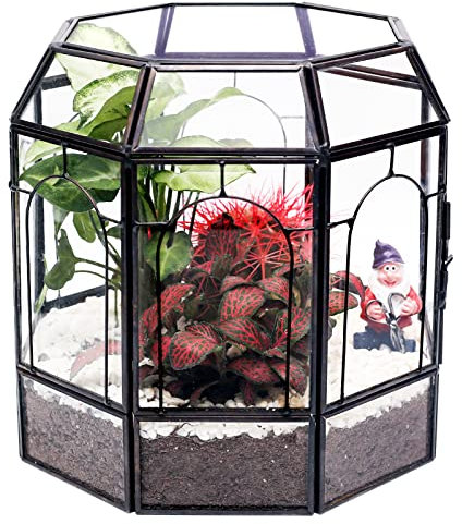 Terrario de cristal grande, REDHUGO hecho a mano para plantas terrarias interiores para suculentas cactus helecho musgo con botella de pulverización, herramientas de jardín