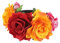 Haarreif Dia de los Muertos Halloween Rosen Haarreifen,Tag der Toten Blumenkrone, Mexikanische Blumen-Haarbänder Stirnband,Damen Haarband Party Kostüm Rose Blume Krone Kopfschmuck Cosplay Haarschmuck