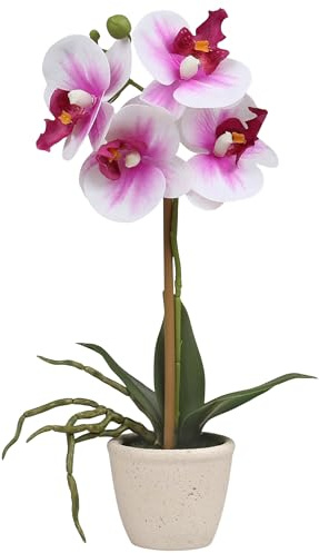 sarcia.eu Künstliche Orchidee im Topf, täuschend echte Deko-Pflanze (Weiß-Rosa A, 30 cm)