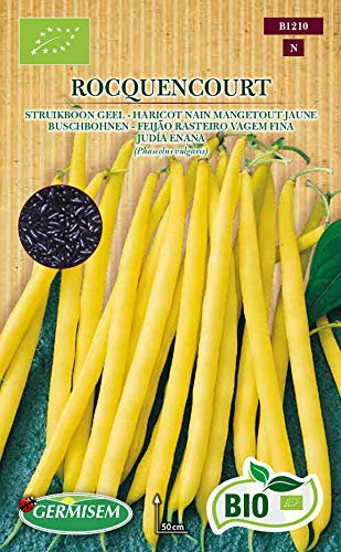 Germisem Orgánica Rocquencourt Semillas de Frijol Corredor 80 g