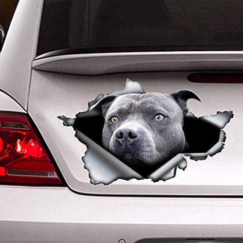 fabisup Adesivo 3D blu per decorazione auto per finestrino auto paraurti crepa adesivo in vinile cane impermeabile 3D realistico cane adesivi per auto.