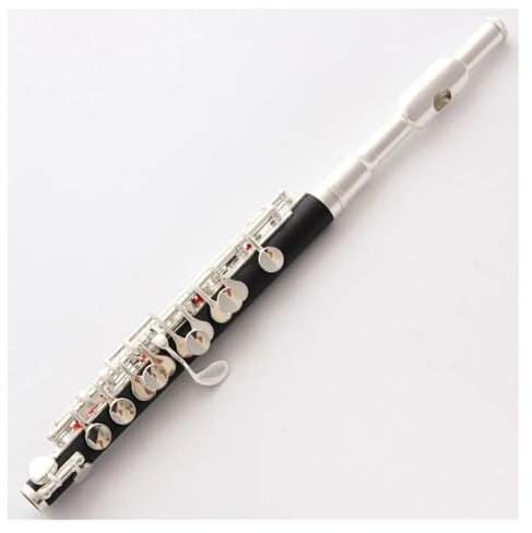 Querflöten Piccolo-Instrument Piccolo-Flöte C-Tasten