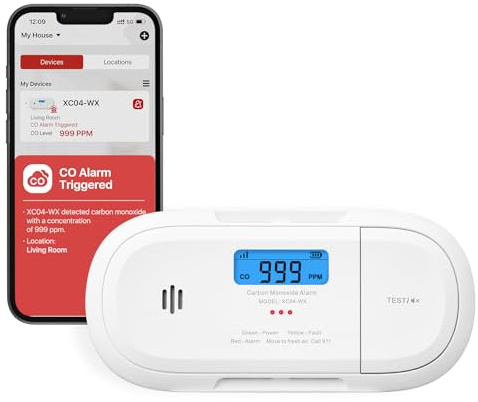 X-Sense Smart Carbon Monoxide Detector, Wi-Fi CO Detector, Real-Time Push Notifications via X-Sense Home Security App, Replaceable Battery, XC04