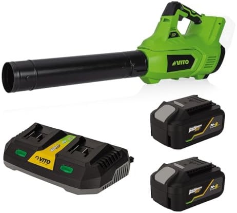 VITO Souffleur de Feuilles sans Fil 40V + 2 Batteries Lithium 4AH + Chargeur Double