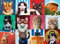 AveJoys Puzzle für Erwachsene 1000 Teile Make-up Katzen 70 x 50 cm Puzzles für Erwachsene Pädagogisches Spiel Herausforderung Spielzeug 1000 Teile Puzzles für Erwachsene Kinder
