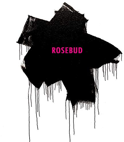 RareNoise