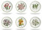 H&h set 6 piatti piani flowers in porcellana decori assortiti cm27