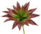 Agusbagli Sukkulenten, künstliche Sukkulenten, ungetopft, fühlen sich echt an, Aloe-Grünpflanzen für Zuhause, Outdoor, Hochzeit, Blumenarrangement, Rot