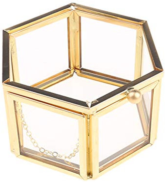 AYPOHU Geometrische Klarglas Schmuckschatulle Schmuck Tischplatte Sukkulenten Pflanzen Behälter Schmuckaufbewahrung