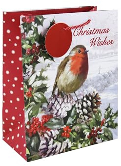 Eurowrap Christmas Wishes Robin Gift Bag with Gift Tag - Gift Bag for Christmas, Gift Wrap, Christmas Wrapping Paper, Xmas, Festive Gift Bag