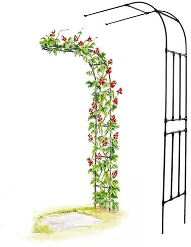 Halbbogen Wandrosenbogen Metall Gartenbogen Rankhilfe Kletterpflanzen Halb Rankhilfe Rankgitter Torbogen Pergola Breite 60-300cm Hoch 240cm (Size : W220xH240cm/W7.2xH7.9ft)