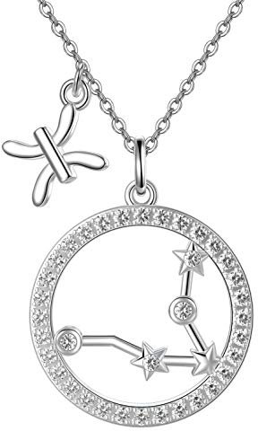 PEIMKO 12 Zodiac Halskette Constellation Schmuck für Frauen Mädchen, Horoskop Anhänger Zodiac Halskette 18 +2 Zoll weiß plattierte Kette Halsketten (Fische (2.19-3.20))