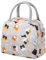 Insulated Lunch Bag Tote Bag for Women Wide Open Insulated Cooler Bag Water-Resistant Thermal Leak-Proof Lunch Organizer for Men Girls Outdoor Picnic Work (GreyCat)