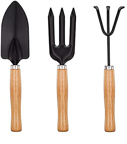 Mini Garden Tools Set of 3, Succulent Plants Tools Wood Handle Rake, Fork and Shovel, Garden Hand Transplanting Gardening Tools Set for Seedlings, Bonsai, Succulents, Herbs, Terrariums and Planting