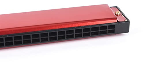 Standard Mundharmonikas 24-Loch Tonart C Mundharmonika Tremolo Mundharmonika Mundharmonika Zweireihig (Color : 01)