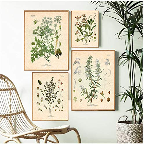 AdoDecor Vintage Botanical Küchenwandbild Petersilie Salbei Rosmarin Thymian 40x60cm 2 Stück Ungerahmt Matte