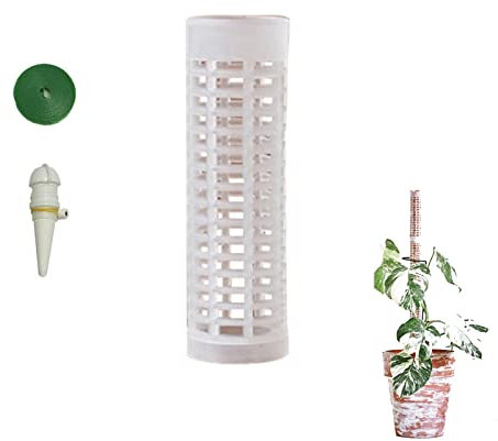 Buyter Colonne empilable pour plantes grimpantes à la mousse d'eau - Support fixe pour plantes grimpantes de philodendron, Support pour plantes dintérieur (Ø 4,9 cm x (H) 29,9 cm, blanc)